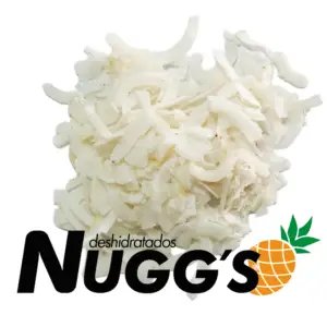 Coco Natural Deshidratado